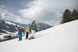 All in One Apartments - Saalfelden-Leogang Winter