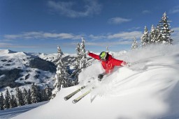 All in One Apartements - Saalbach Hinterglemm Freeride