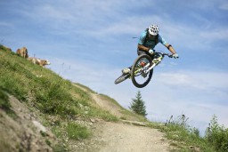 All in One Apartements - Saalbach Downhill