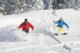 All in One Apartements - Saalbach Hinterglemm Powder