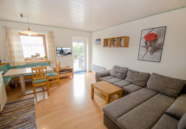 Apartment in Zell am See - Apartment LAKE VIEW - near ski lift and town Apartment in Zell am See - Apartment LAKE VIEW - near ski lift and town