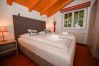 Apartment in Kaprun - Finest Penthouse All Seasons Lodge Kaprun