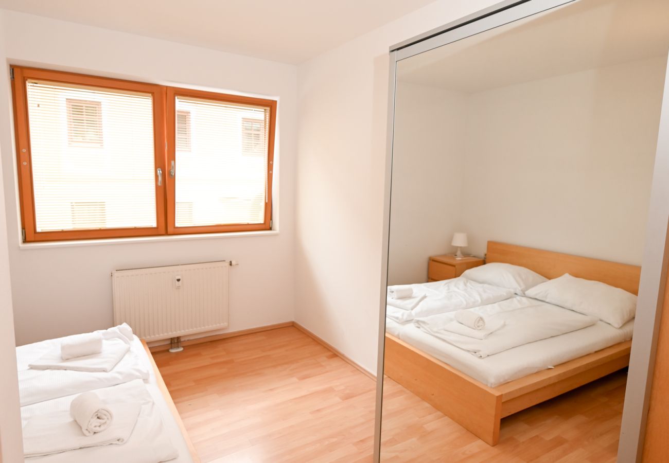 Apartment in Zell am See - Apartment ZELL CITY - next to ski lift and town