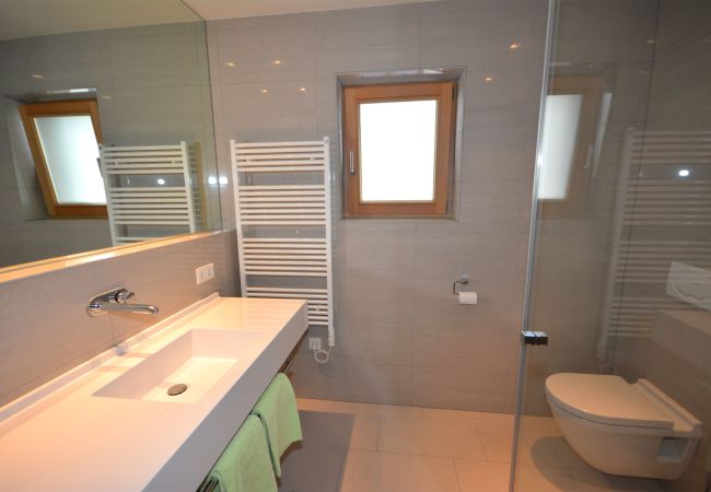 Apartment in Zell am See - Zell City Exclusive Lodges - TOP 4 Apartment in Zell am See - Zell City Exclusive Lodges - TOP 4