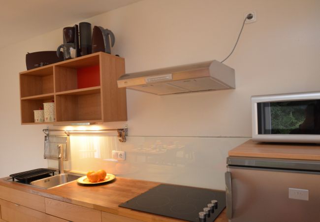 Apartment in Zell am See - 5 Seasons House Zell am See - TOP 3, SUMMER CARD Apartment in Zell am See - 5 Seasons House Zell am See - TOP 3, SUMMER CARD