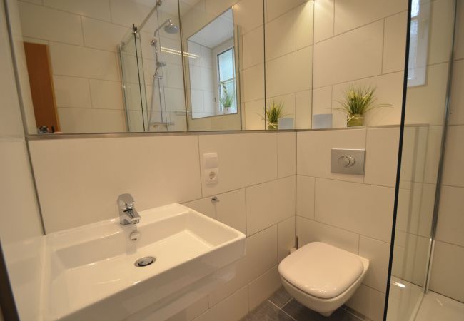 Apartment in Zell am See - Apartment CityXpress TOP 6 - Zell am See Apartment in Zell am See - Apartment CityXpress TOP 6 - Zell am See