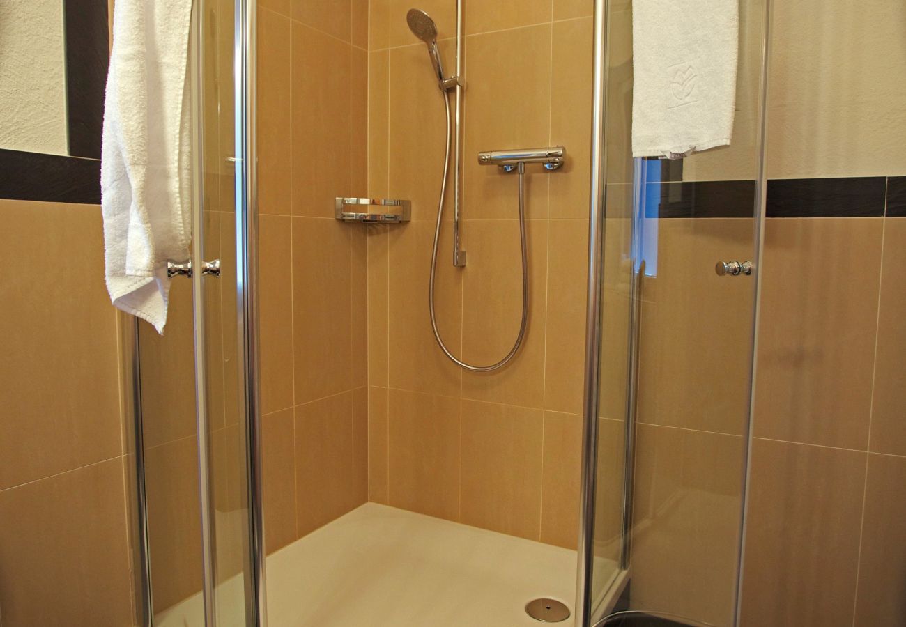 Apartment in Zell am See - Apartment ANBLICK - lake and mountain view