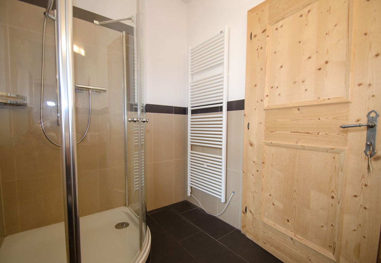 Apartment in Zell am See - Apartment ANBLICK - lake and mountain view