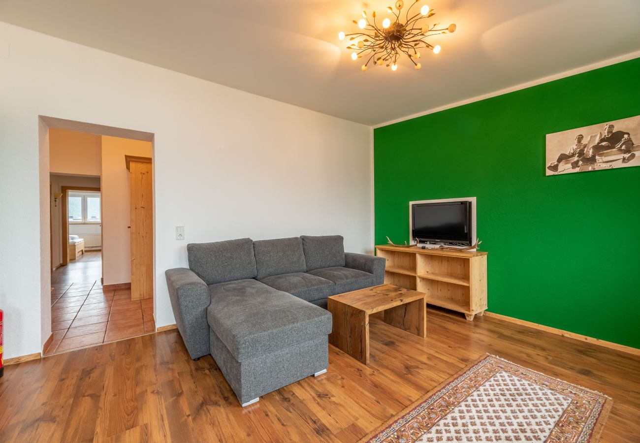 Apartment in Zell am See - Apartment ANBLICK - lake and mountain view