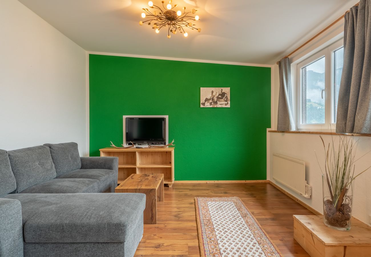 Apartment in Zell am See - Apartment ANBLICK - lake and mountain view