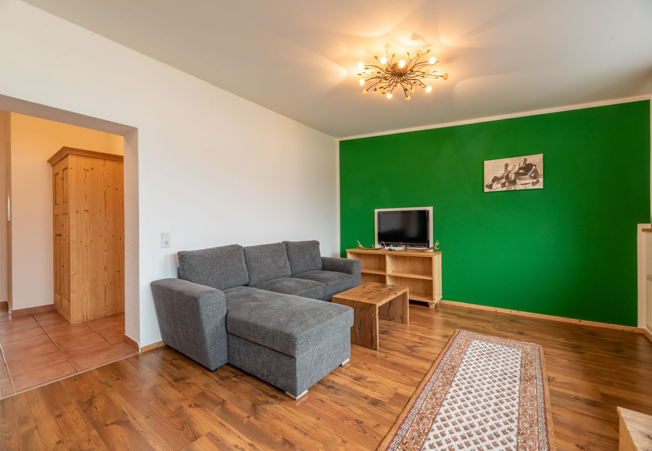 Apartment in Zell am See - Apartment ANBLICK - lake and mountain view