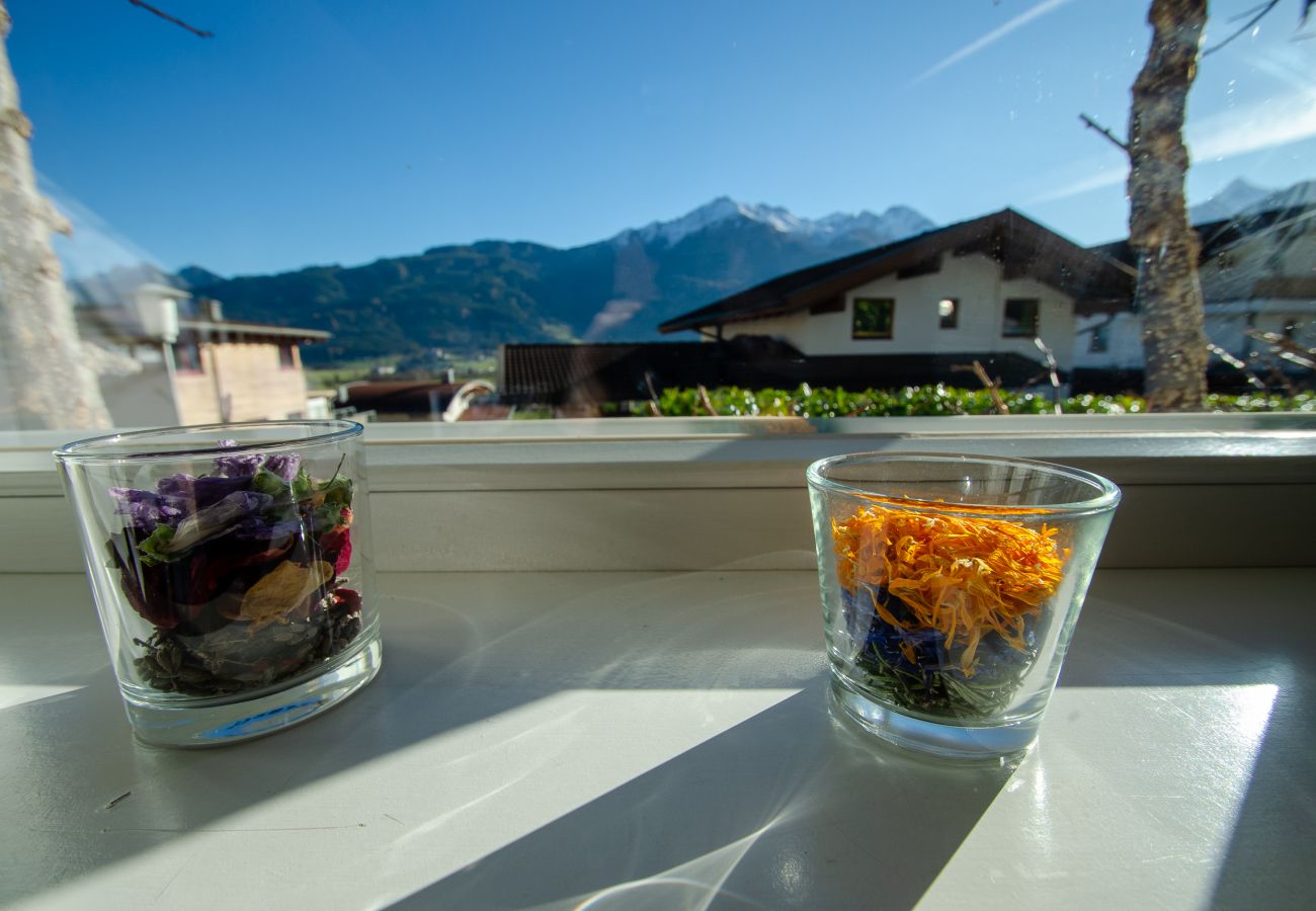 Apartment in Piesendorf - Apartment Nature & Friends - near Kaprun