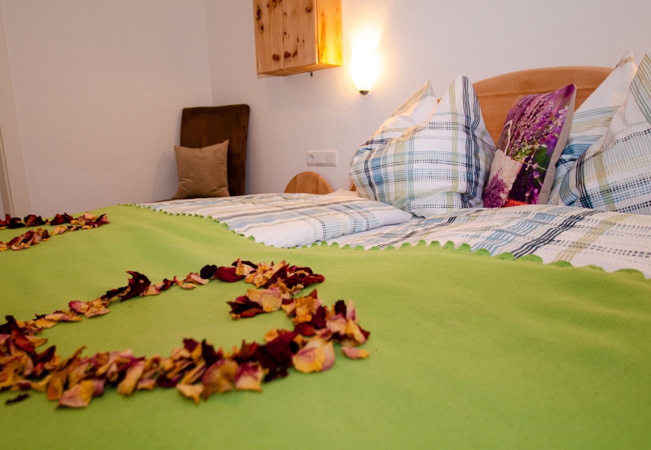 Apartment in Piesendorf - Apartment Nature & Friends - near Kaprun
