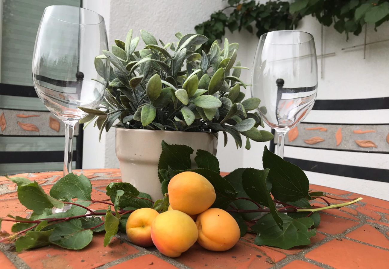 Apartment in Piesendorf - Apartment Nature & Friends - near Kaprun