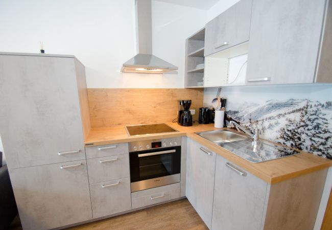 Apartment in Zell am See - Apartment Summer & Winter Fun I - 200 from ski lif Apartment in Zell am See - Apartment Summer & Winter Fun I - 200 from ski lif