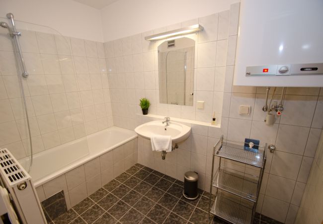 Apartment in Zell am See - Apartment Summer & Winter Fun I - 200 from ski lif Apartment in Zell am See - Apartment Summer & Winter Fun I - 200 from ski lif