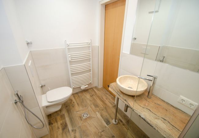 Apartment in Zell am See - Penthouse Summer & Winter Fun 3, roof terrace Apartment in Zell am See - Penthouse Summer & Winter Fun 3, roof terrace