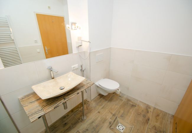 Apartment in Zell am See - Penthouse Summer & Winter Fun 3, roof terrace Apartment in Zell am See - Penthouse Summer & Winter Fun 3, roof terrace