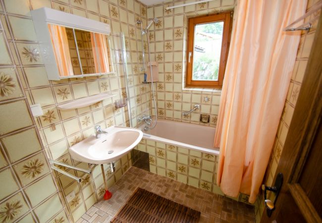 Apartment in Zell am See - BUDGET Chalet Alpine - Apartment A Apartment in Zell am See - BUDGET Chalet Alpine - Apartment A