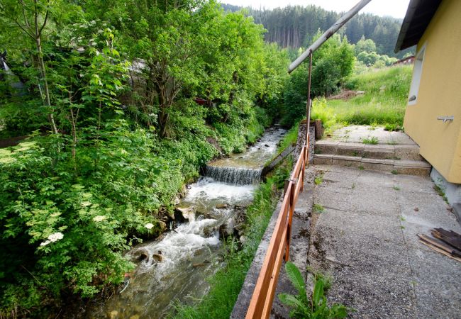 Apartment in Zell am See - BUDGET Chalet Alpine - Apartment A Apartment in Zell am See - BUDGET Chalet Alpine - Apartment A