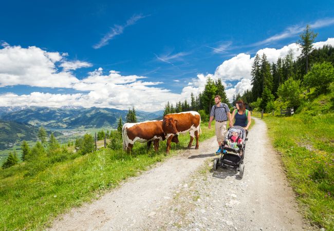 Apartment in Zell am See - BUDGET Chalet Alpine - Apartment A Apartment in Zell am See - BUDGET Chalet Alpine - Apartment A
