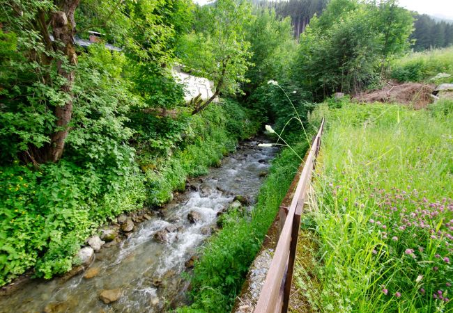 Apartment in Zell am See - BUDGET Chalet Alpine - Apartment B Apartment in Zell am See - BUDGET Chalet Alpine - Apartment B