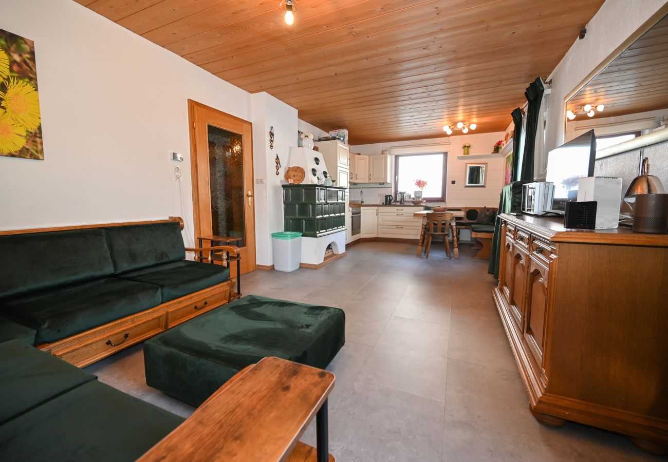 Apartment in Zell am See - BUDGET Chalet Alpine - Apartment B