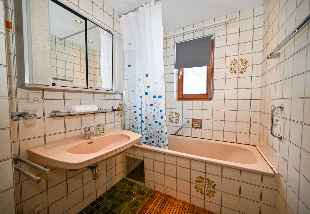 Apartment in Zell am See - BUDGET Chalet Alpine - Apartment B