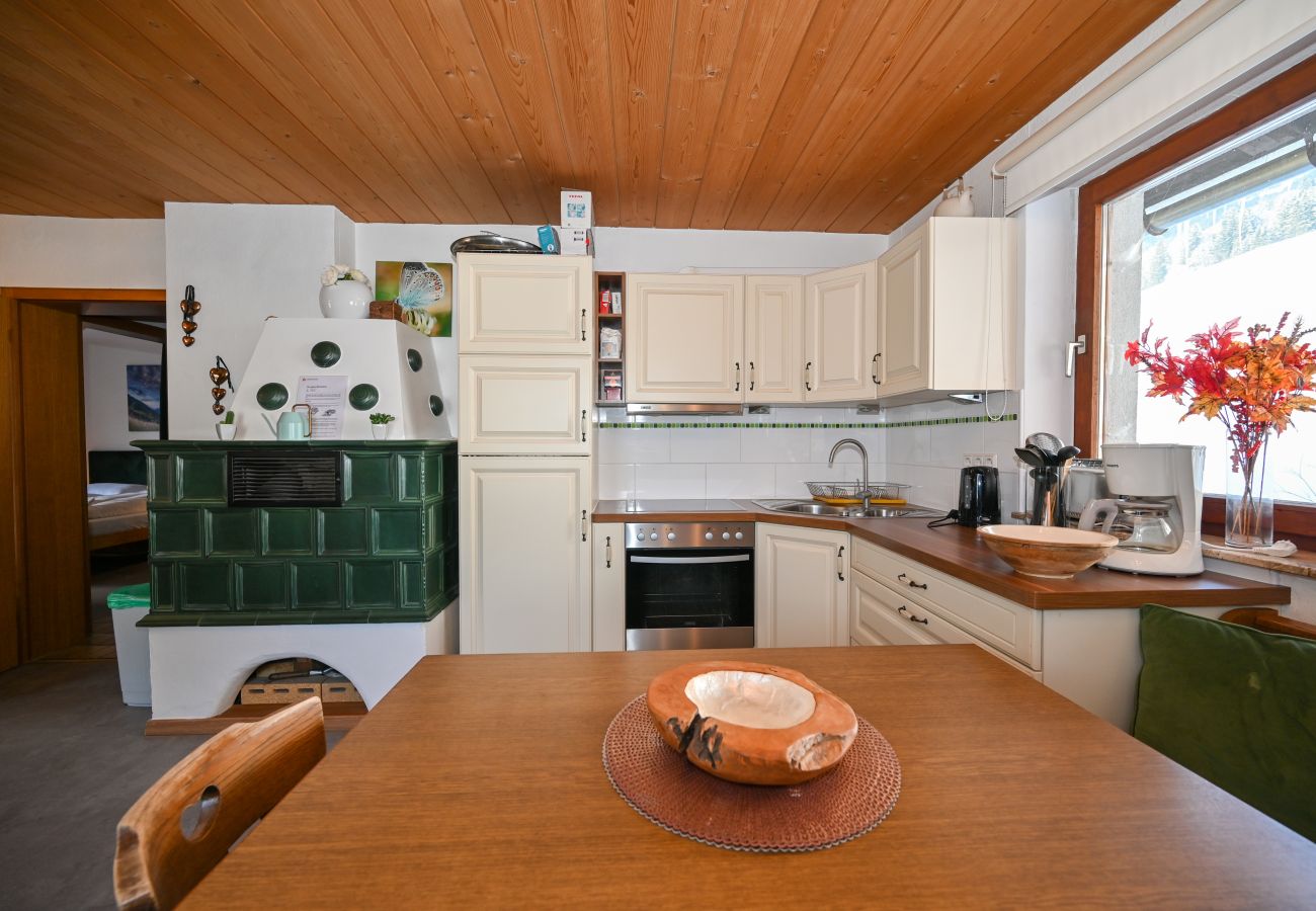 Apartment in Zell am See - BUDGET Chalet Alpine - Apartment B