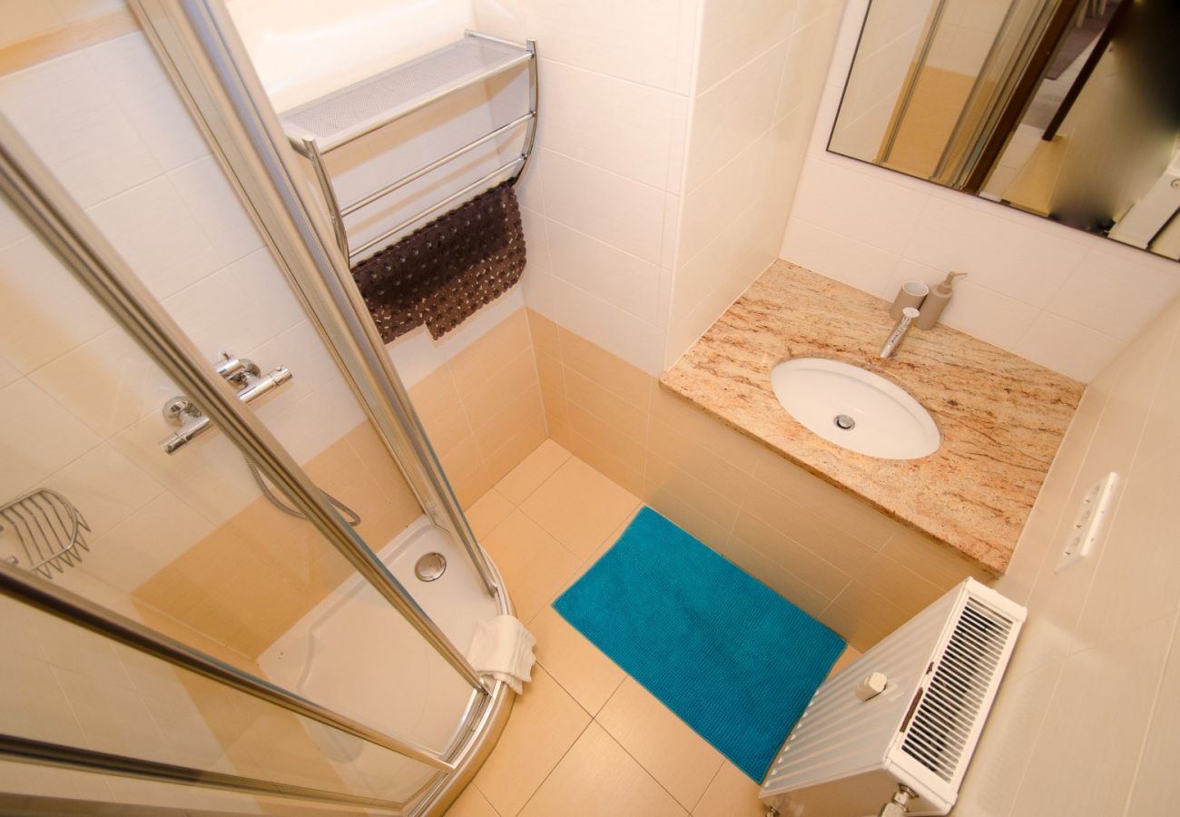 Apartment in Zell am See - Apartment CityXpress Ski in/Ski out with balcony