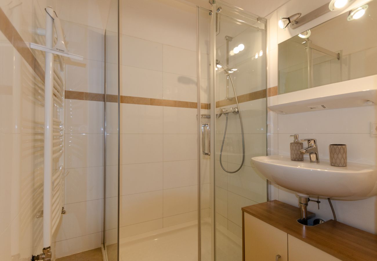 Apartment in Zell am See - Lake View Apartment TwentySix