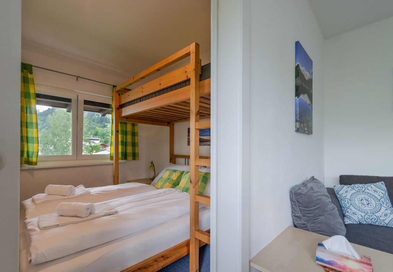 Apartment in Zell am See - Lake View Apartment TwentySix