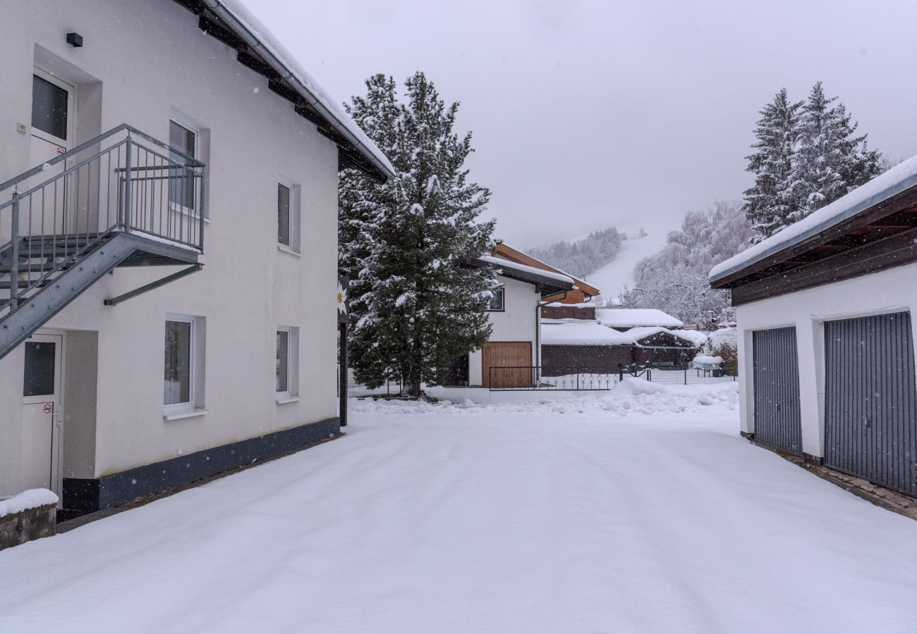 Apartment in Zell am See - Chalet Love the Alps 'EG', near ski lift