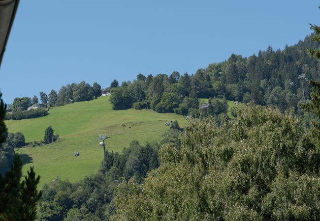 House in Zell am See - Chalet Love the Alps, 22pax, near ski lift House in Zell am See - Chalet Love the Alps, 22pax, near ski lift