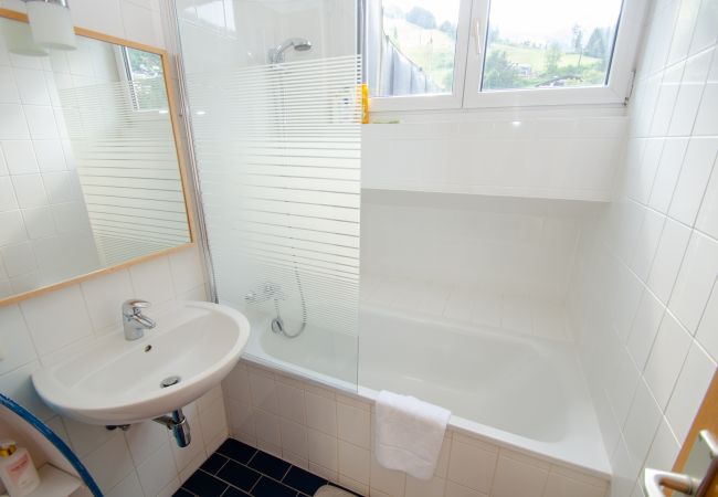 Apartment in Zell am See - Apartment CityXpress TOP 18 - Zell am See Apartment in Zell am See - Apartment CityXpress TOP 18 - Zell am See