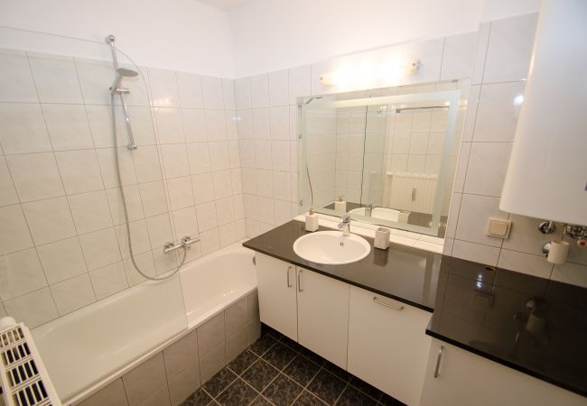 Apartment in Zell am See - Penthouse Summer & Winter Fun 4, roof terrace Apartment in Zell am See - Penthouse Summer & Winter Fun 4, roof terrace