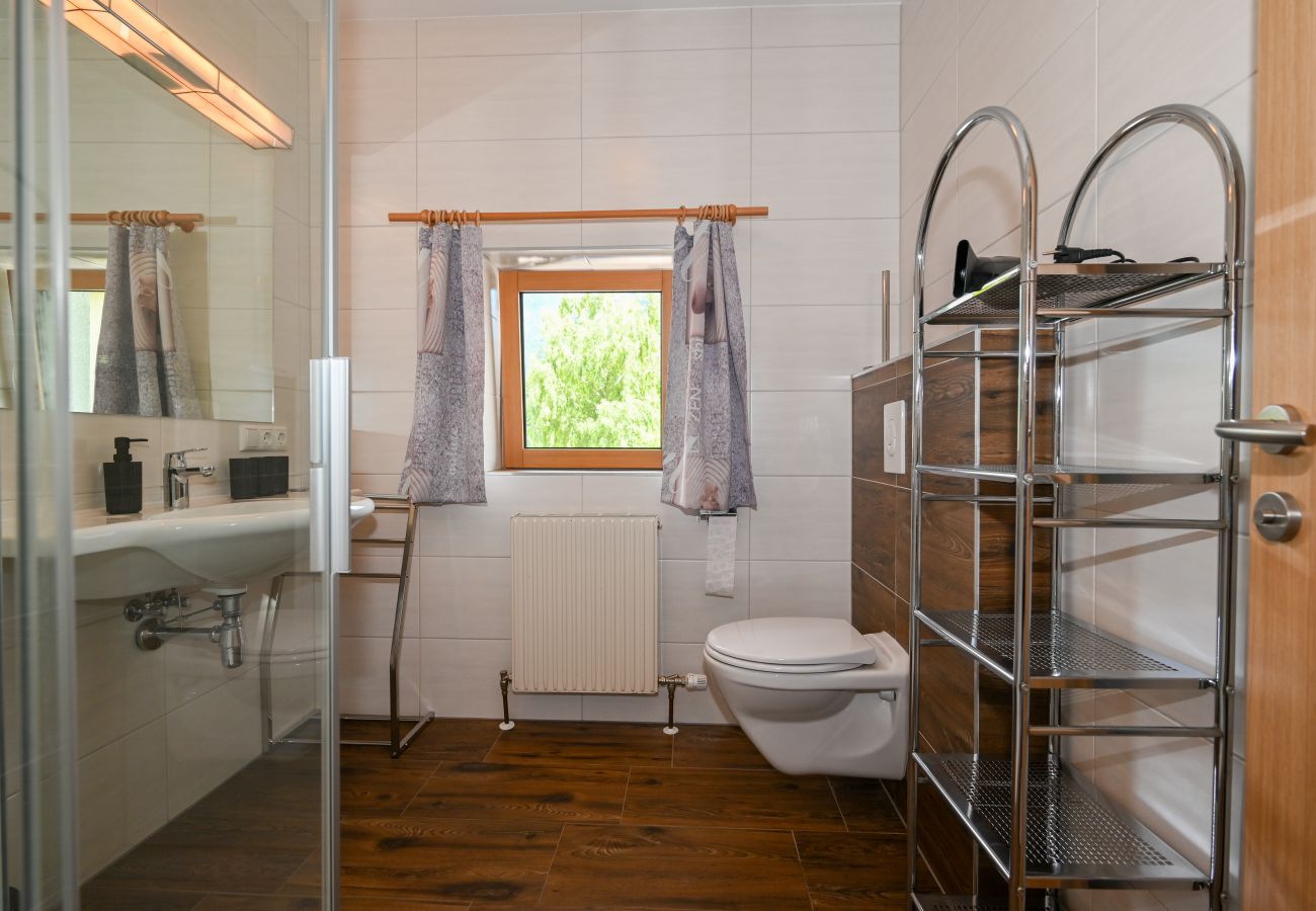 Apartment in Zell am See - Apartment Medicus Zell am See, incl SUMMER CARD
