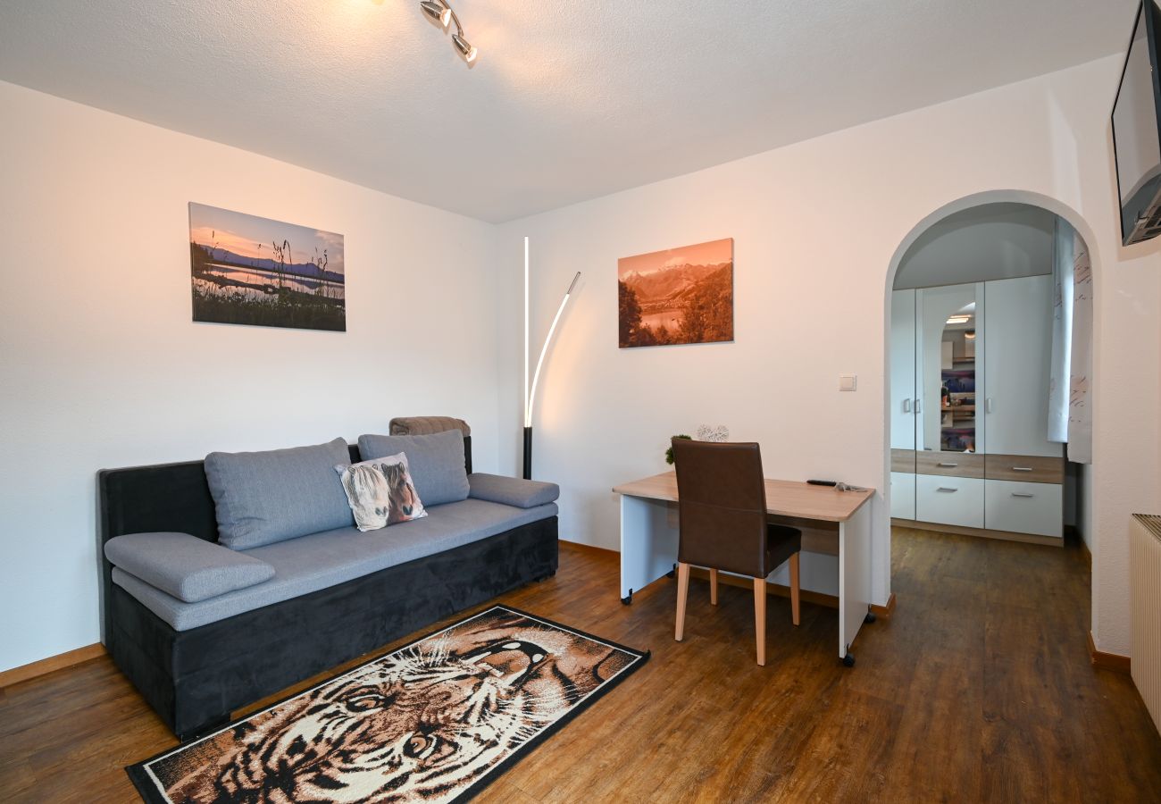 Apartment in Zell am See - Apartment Medicus Zell am See, incl SUMMER CARD