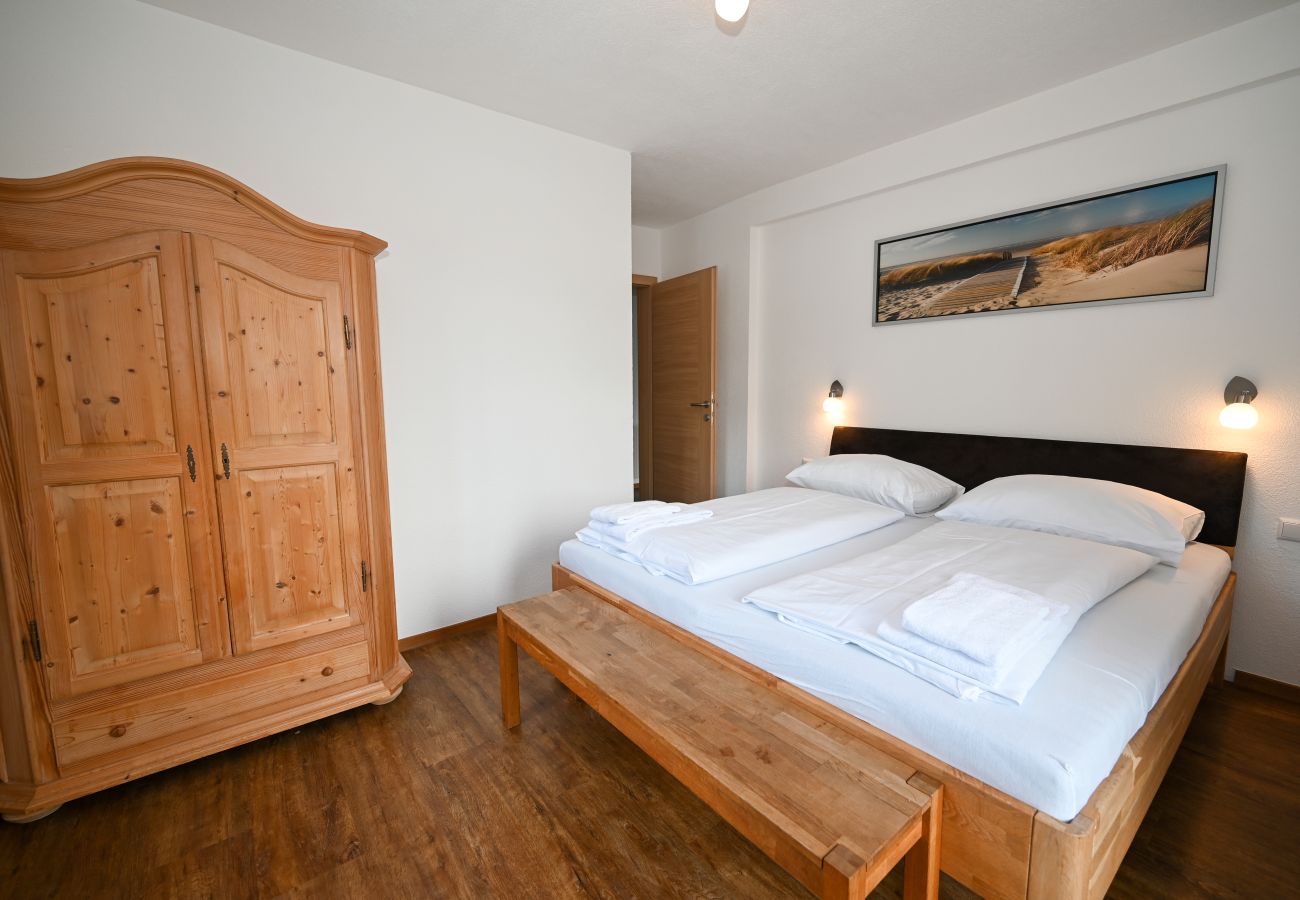 Apartment in Zell am See - Apartment Medicus Zell am See, incl SUMMER CARD