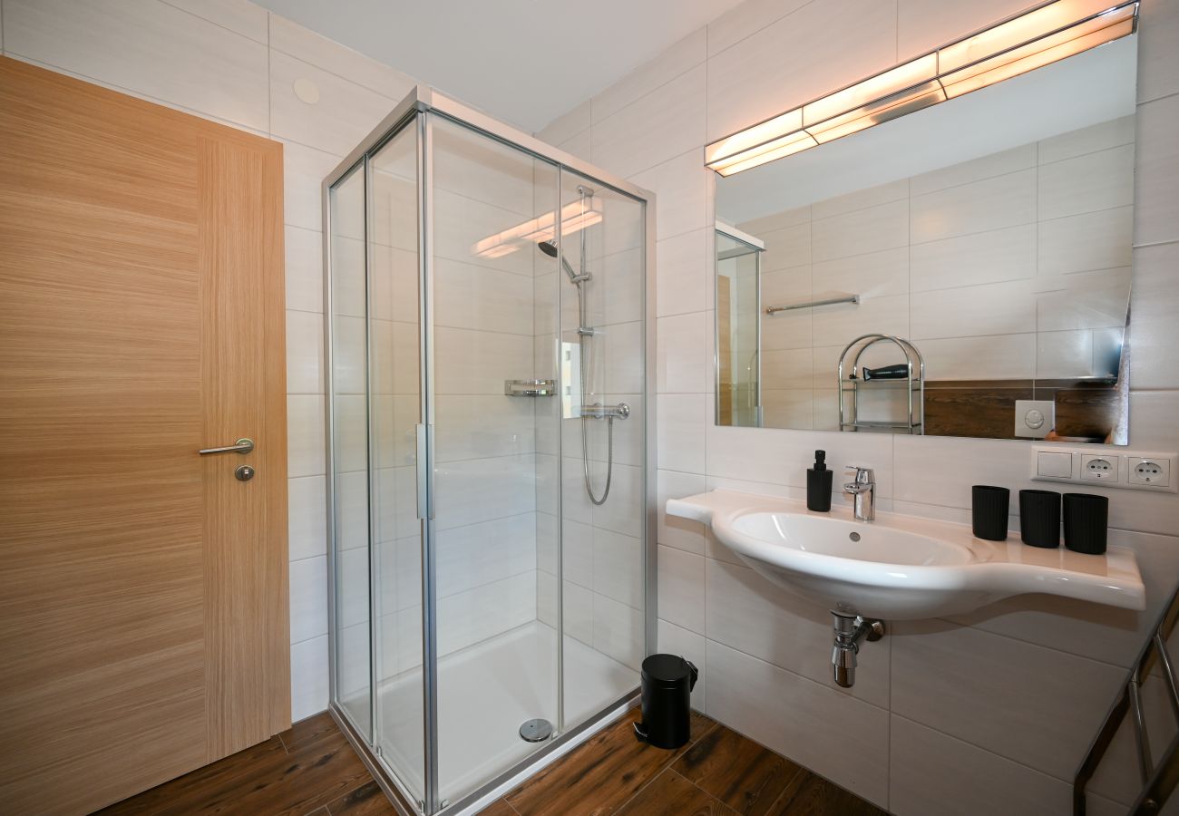 Apartment in Zell am See - Apartment Medicus Zell am See, incl SUMMER CARD