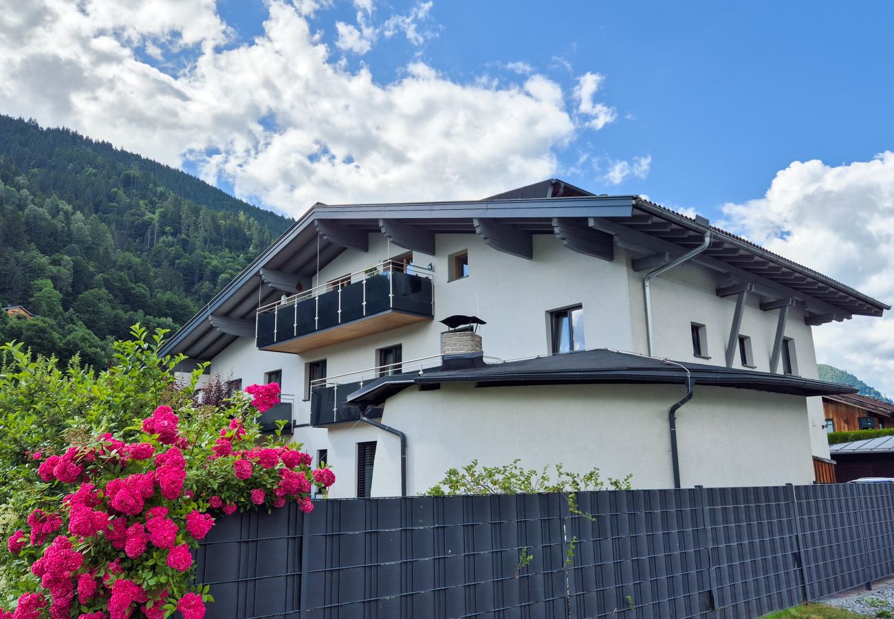 Apartment in Zell am See - Apartment Medicus Zell am See, incl SUMMER CARD