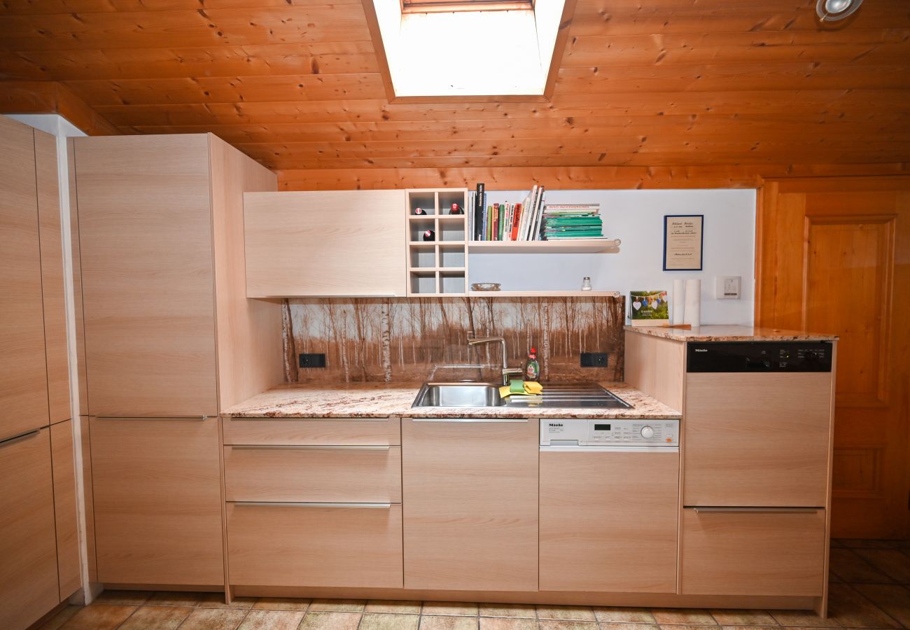Apartment in Zell am See - Penthouse Forsterhaus - glacier view