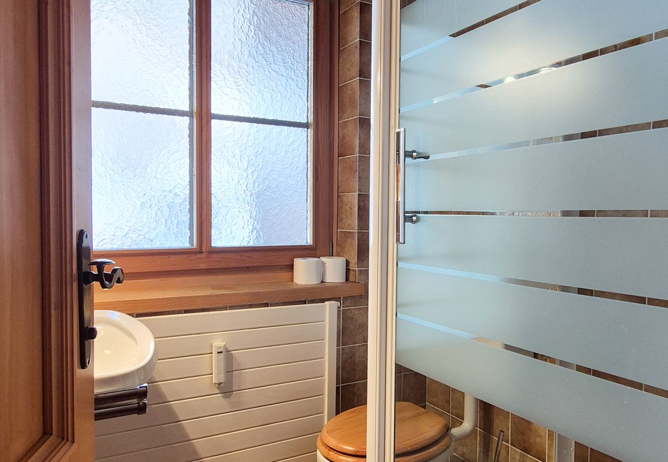 Apartment in Zell am See - Penthouse Forsterhaus - glacier view