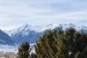 Apartment in Zell am See - Penthouse Forsterhaus - glacier view