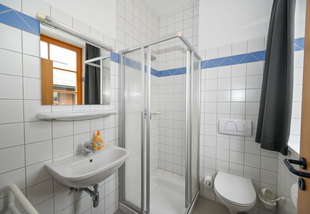 Studio in Zell am See - Schmitten 27 - Room 11 / 200m from ski lift