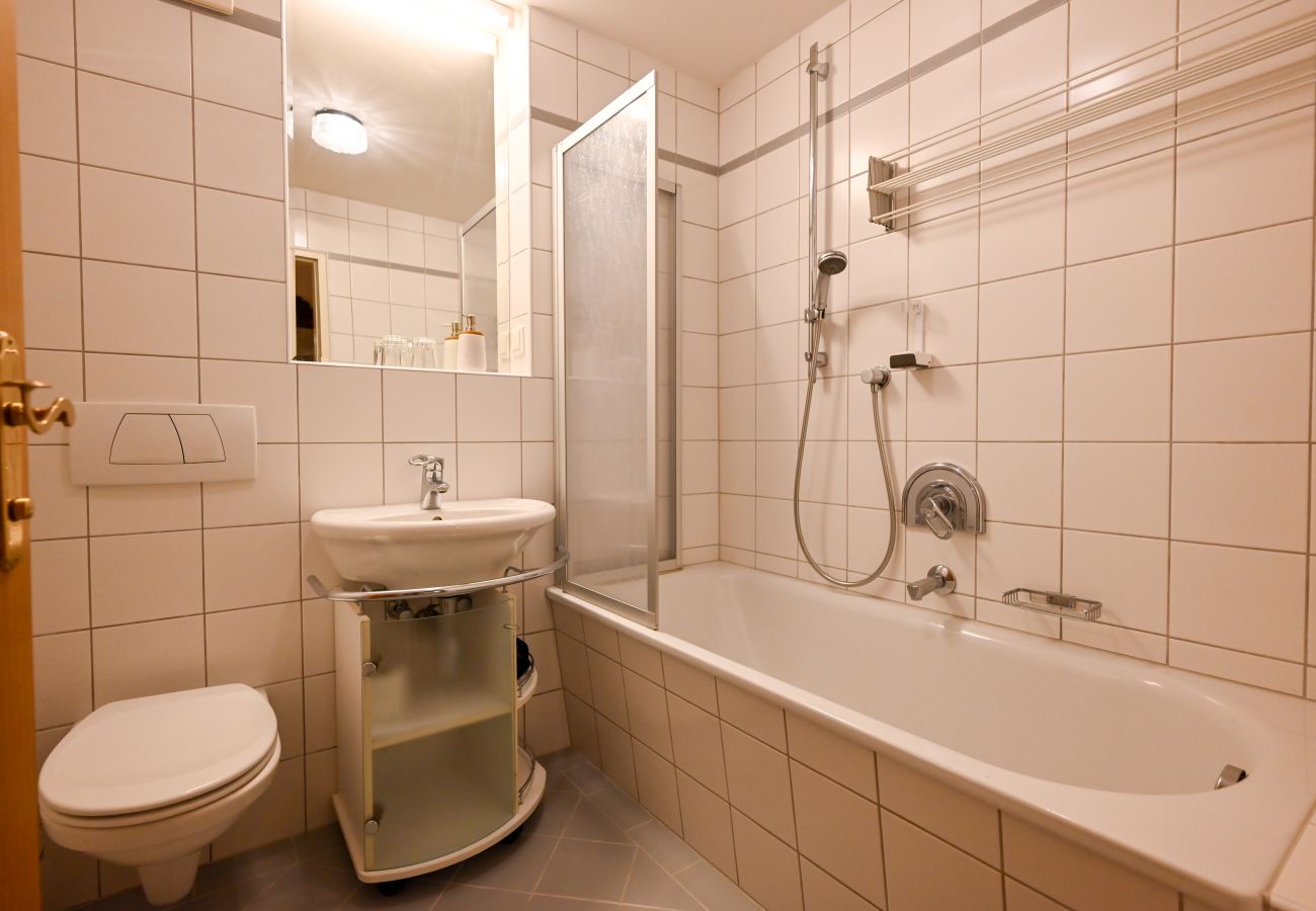 Apartment in Zell am See - Schmitten 27 - Apartment 3 / 200m from ski lift