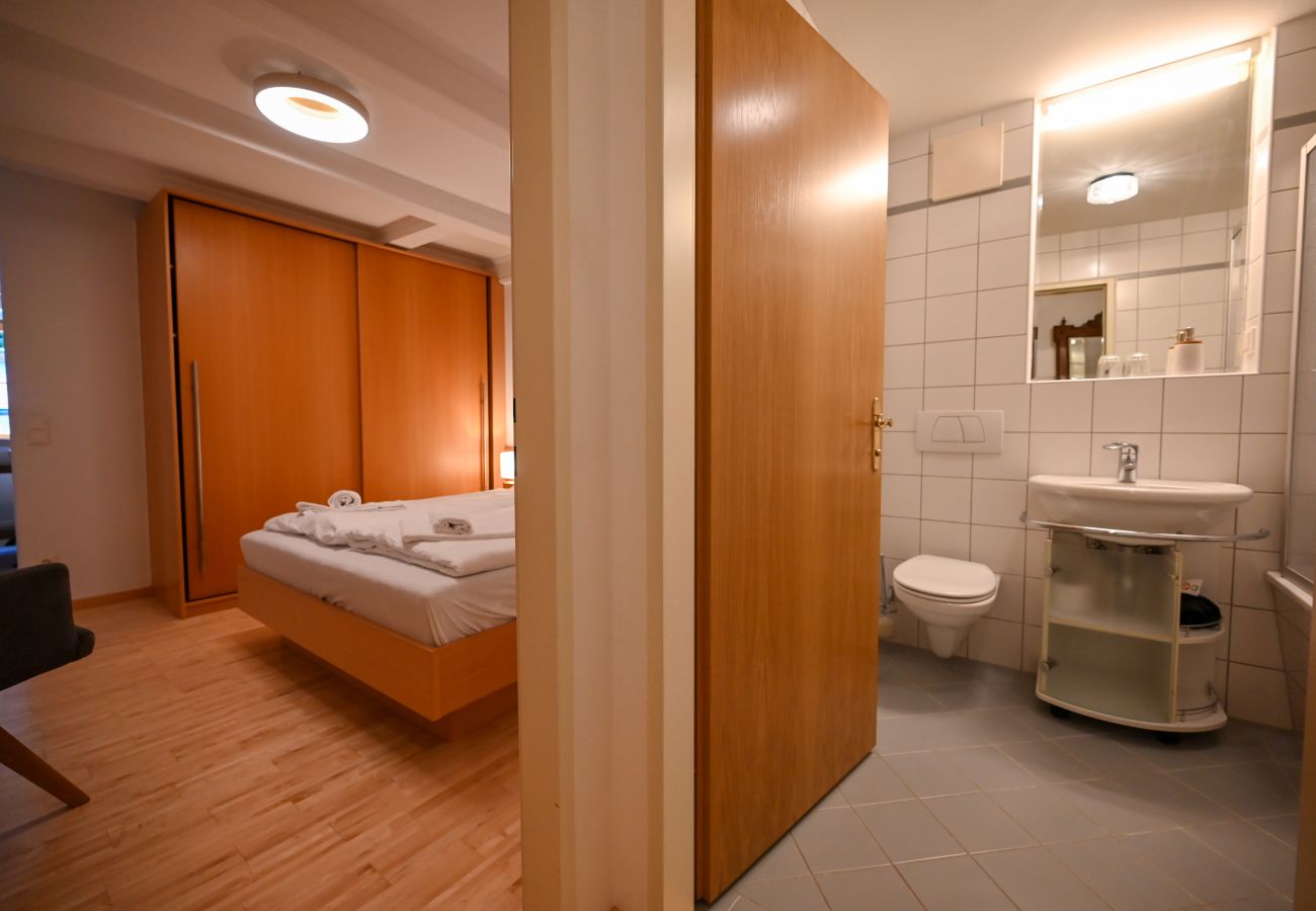 Apartment in Zell am See - Schmitten 27 - Apartment 3 / 200m from ski lift