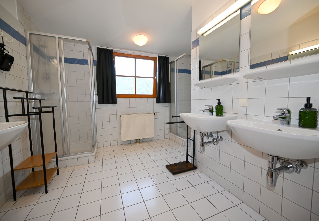 Studio in Zell am See - Schmitten 27 - Room 9 / 200m from ski lift