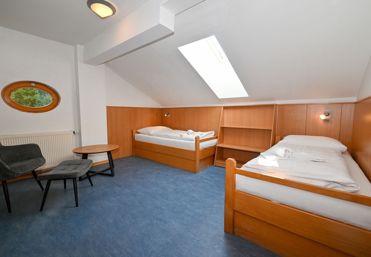 Studio in Zell am See - Schmitten 27 - Room 6 / 200m from ski lift