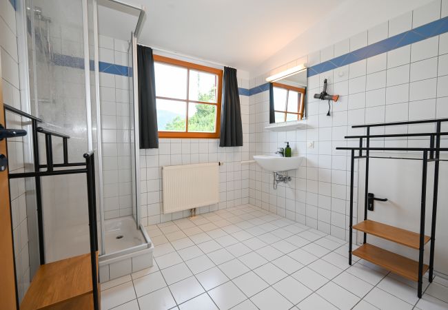 Studio in Zell am See - Schmitten 27 - Room 4 / 200m from ski lift Studio in Zell am See - Schmitten 27 - Room 4 / 200m from ski lift